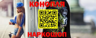 спайс Гай