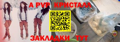 спайс Гай