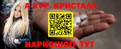 спайс Гай