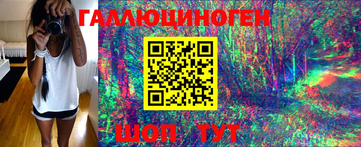 Псилоцибиновые грибы Psilocybine cubensis Каменск-Шахтинский