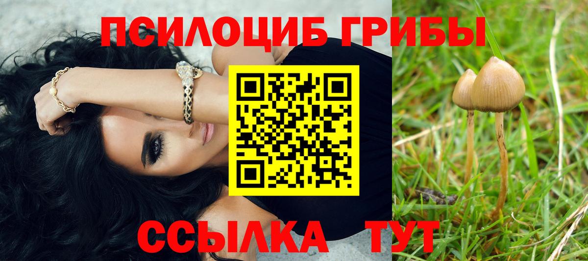 Псилоцибиновые грибы мицелий  Вход с VPN  Каменск-Шахтинский 