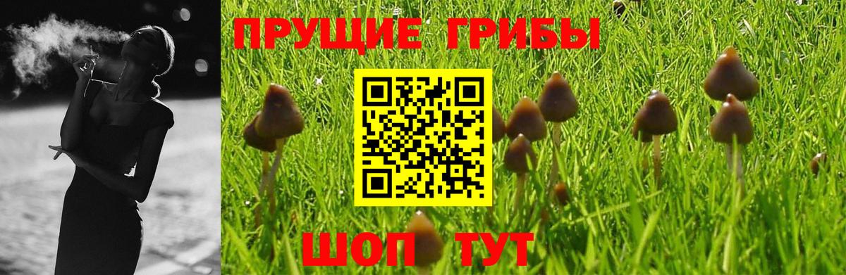 Псилоцибиновые грибы ЛСД Каменск-Шахтинский